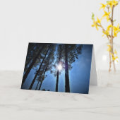 Lumière du soleil à travers les pins, carte (Fleur jaune)