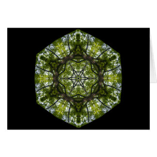 Lumière et motif dans le feuille