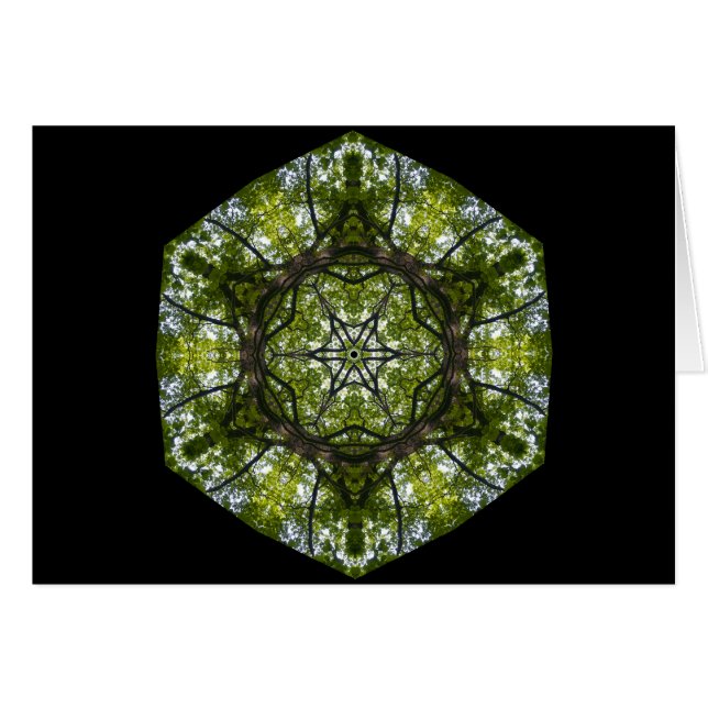 Lumière et motif dans le feuille (Devant horizontal)