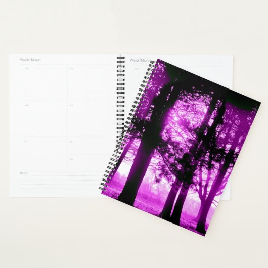 Lumière violette avec arbres en silhouette (Devant avec enveloppe)