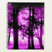 Lumière violette avec arbres en silhouette (Devant)