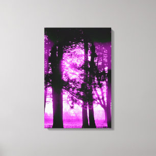 Lumière violette avec toile d'arbres en silhouette