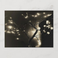 lumières abstraites noir et blanc photo Carte post