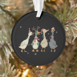 Lumières de Noël Canards Animaux Drôles Amoureux d