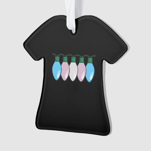 Lumières de Noël de drapeau de fierté de (devant)