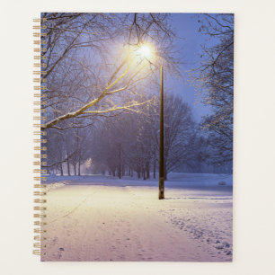 Lumières de rue et couvert de neiges