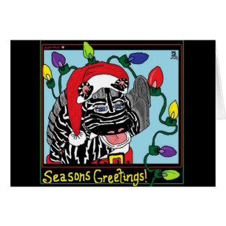 Lumières de zèbre - HRB