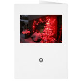 Lumières des arbres de Noël neigeux (Dos)