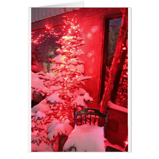 Lumières des arbres de Noël neigeux (Devant)