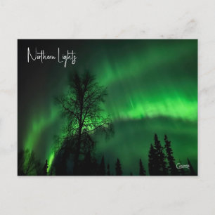 Lumières du Nord 4 - Carte postale