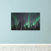 Lumières du Nord à travers la toile des arbres (Insitu (Plancher de Bois))