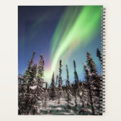 Lumières du Nord | Parc national de Denali (Dos)