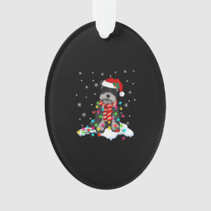 lumières schnautiques de Noël mignonnes avec cha