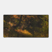 Luminaire d'Europe dorée aux couleurs de l'automne (Recto)