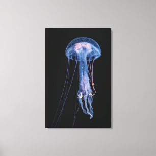 Luminescent Jellyfish Canvas Afdruk
