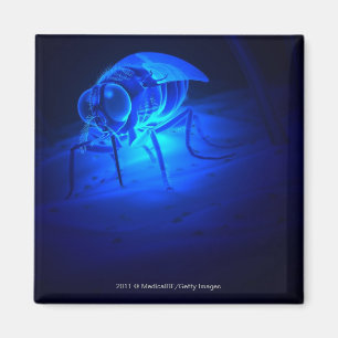 Luminescente illustratie van een testvlieg magneet