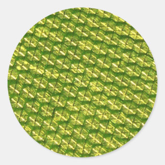 Luminositeit! Ronde Sticker