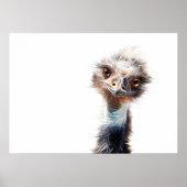 Luminous Emu Art Poster (Voorkant)