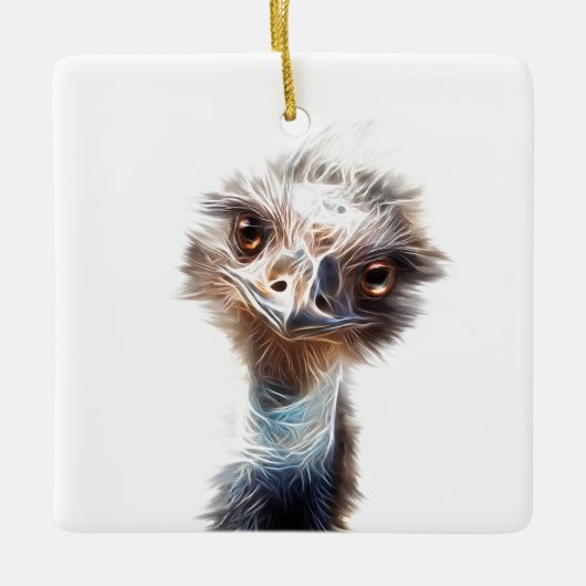Luminous Emu Bird Art Keramisch Ornament (Voorkant)