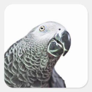 Luminous Parrot Art African Grey Bird Stickers