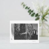 Lummi Island, WA - Lummi Rocks Uitzicht met Row Briefkaart (Staand voorkant)