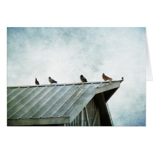 L'un d'eux n'appartient pas (Devant horizontal)