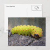Luna Caterpijler Briefkaart (Voorkant / Achterkant)