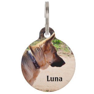 Luna De Duitse Herdershond, Huisdieren Tag, Huisdierpenning