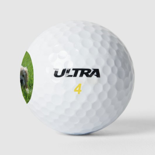 Luna Golfballen (Logo)