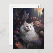Luna la carte postale turque de chat Angora (Devant / Derrière)