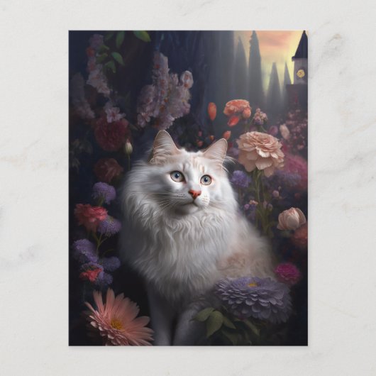 Luna la carte postale turque de chat Angora (Devant)