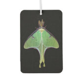 Luna Moth Air Freshener Luchtverfrisser (Voorkant)