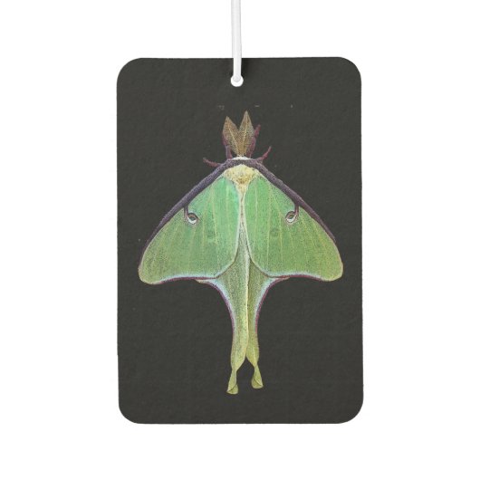 Luna Moth Air Freshener Luchtverfrisser (Voorkant)