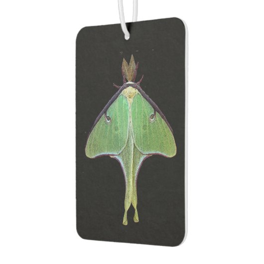 Luna Moth Air Freshener Luchtverfrisser (Links)