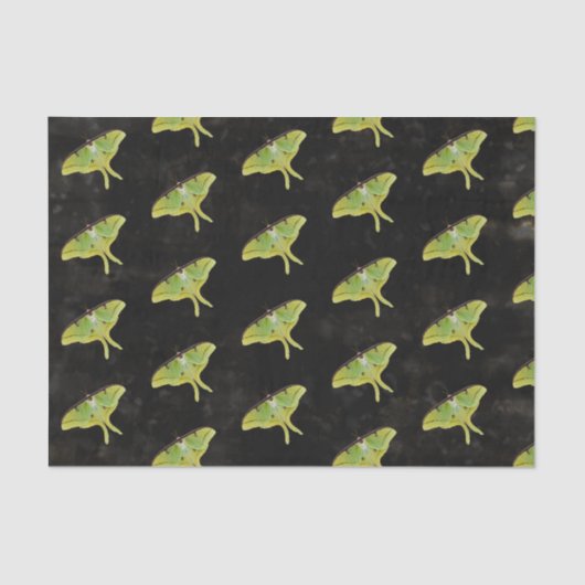 Luna Moth Artwork in levendige kleuren Tissuepapier (Voorkant)