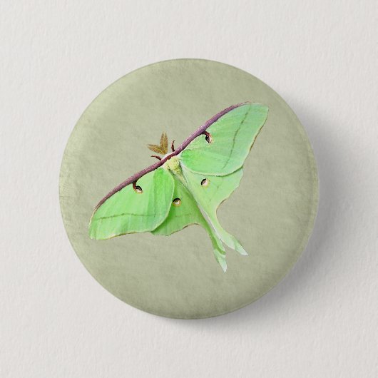 Luna Moth Button (Voorkant)
