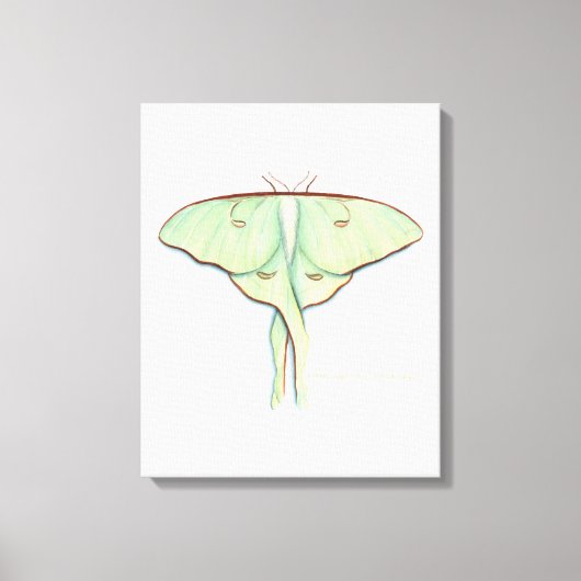 Luna Moth Canvas Afdruk (Voorkant)