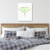 Luna Moth Canvas Afdruk (Insitu (Slaapkamer))