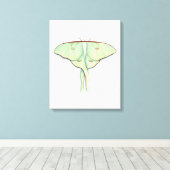 Luna Moth Canvas Afdruk (Insitu (Houten vloer))