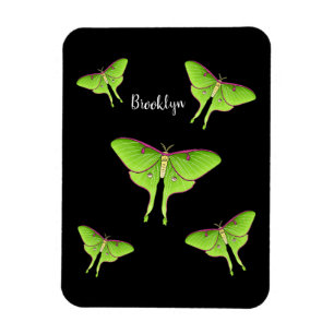 Luna Moth cartoon illustratie Magneet