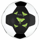 Luna Moth cartoon illustration  (Devant)