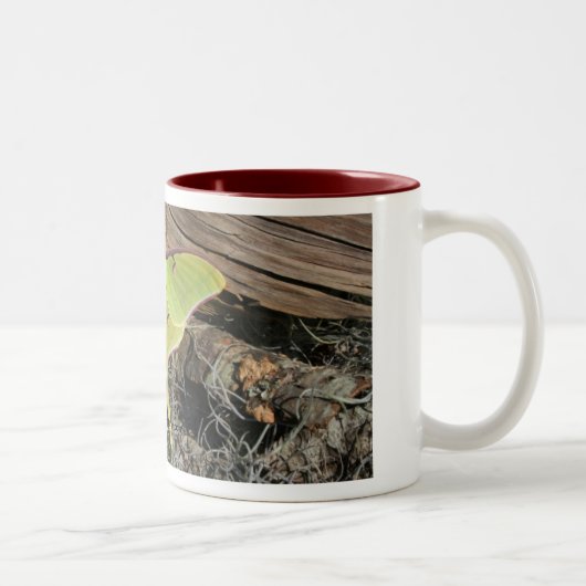 Luna Moth Coffee Mok (Rechts)