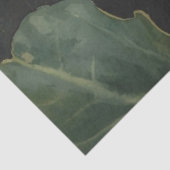 Luna Moth Conservatory Botanicals Tissuepapier (Detail)