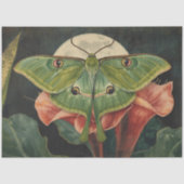 Luna Moth Conservatory Botanicals Tissuepapier (Voorkant)