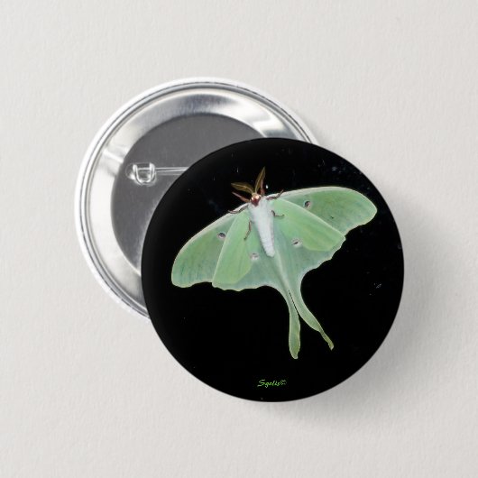 Luna Moth Insect Button (Voorkant /achterkant)