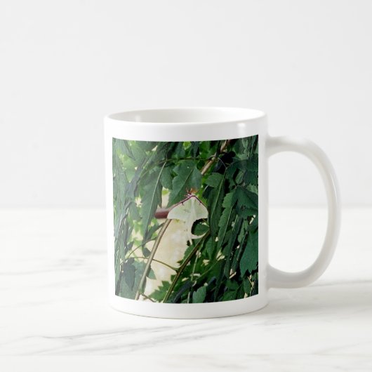 Luna Moth Koffiemok (Rechts)