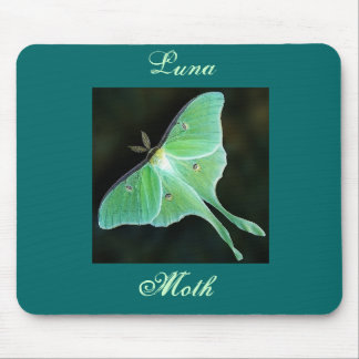 Luna Moth, Luna, Moth Muismat