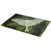 Luna Moth on Carnaby Clematis Snijplank (Hoek)