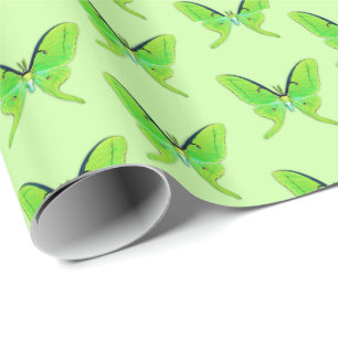 Luna moth op een bleke groene achtergrond cadeaupapier