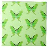 Luna moth op een bleke groene achtergrond tegeltje (Voorkant)